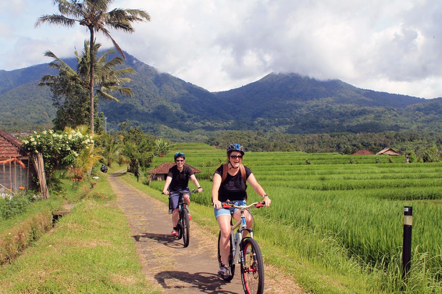 jatiluwih bike tour