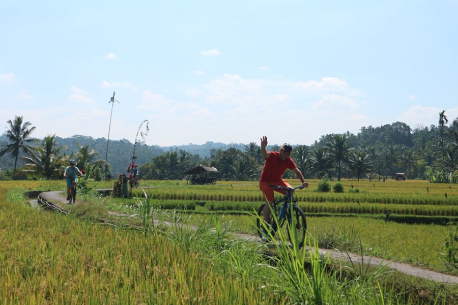 kintamani downhill bike tour