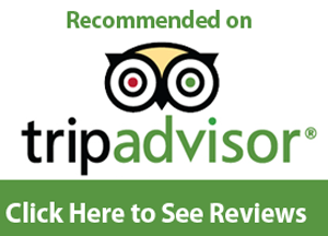 recommended, tripsadvisor, balimoonbike adventure